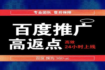 某品牌SEM广告投放效果全解析