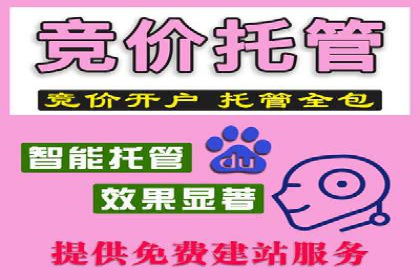 SEM公司案例解析：搜索引擎营销策略与执行